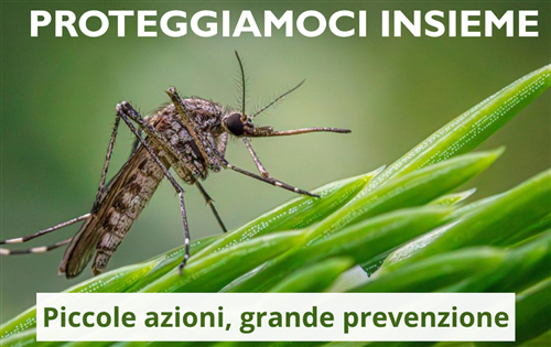 Virus West Nile - la ASL di Viterbo rilancia la campagna "Proteggiamoci insieme"