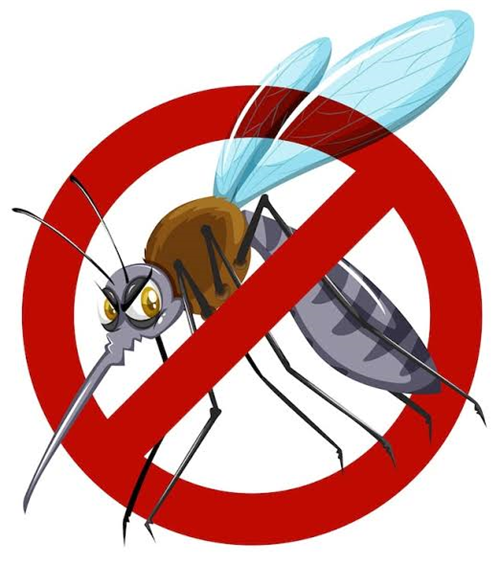 Avviso disinfestazione ambientale contro zanzare il 10/09/2026